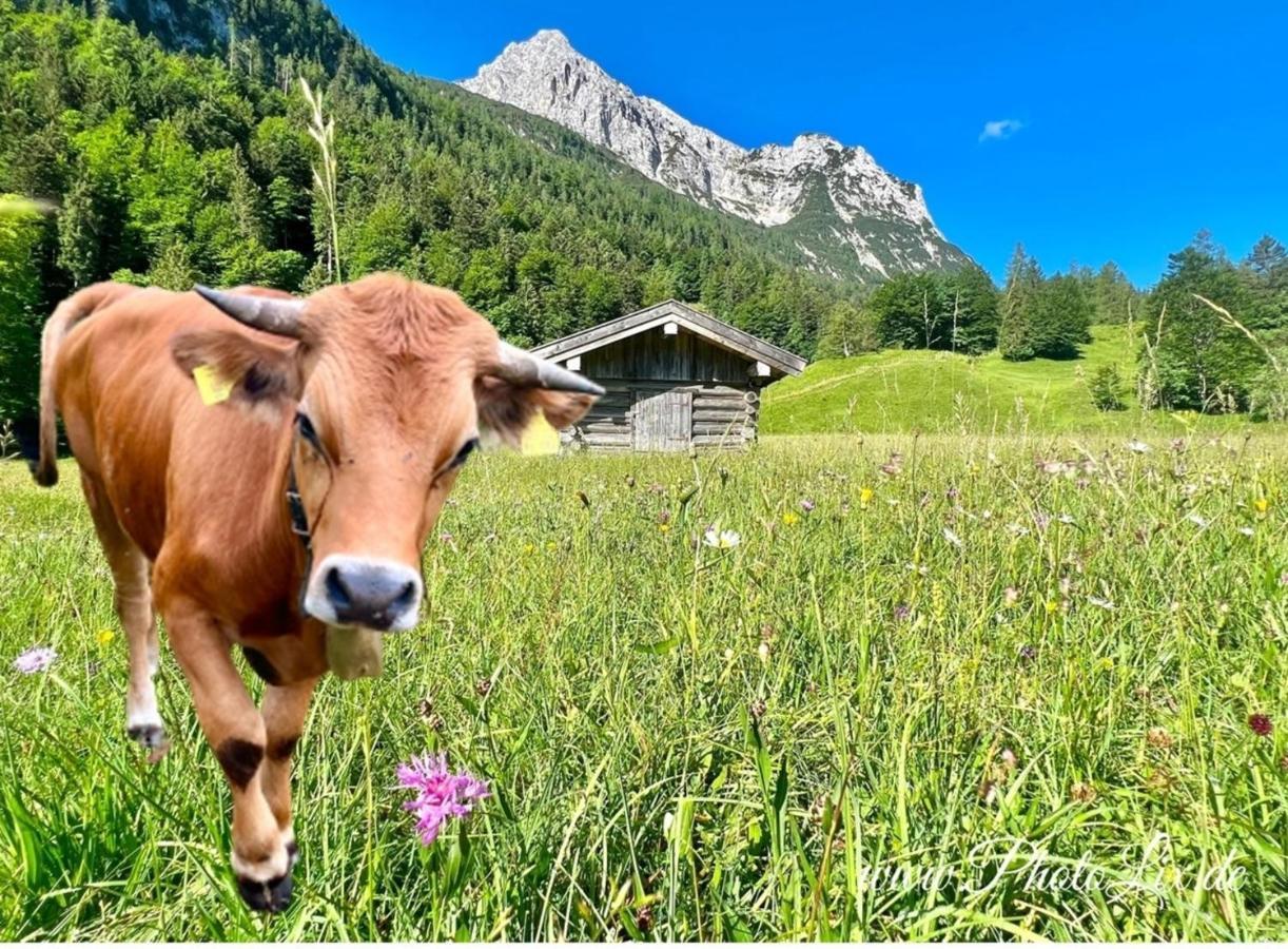 Sparfuchs - Fewo Resi Mittenwald Exterior photo